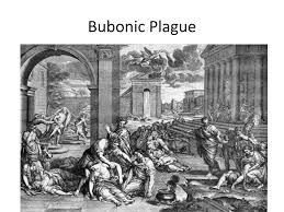 Check spelling or type a new query. Ppt Bubonic Plague Powerpoint Presentation Free Download Id 1924017