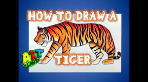 They are usually orange with black stripes, but they can also be white with black stripes. How To Draw A Tiger Youtube