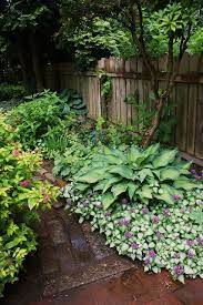Anotherdayinmygarden Shade Plants Lamium Hosta Lamium Is An Amazing Ground C Shade Garden Design Shade Plants Shade Garden Plants