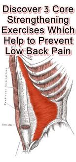 Pin On Back Pain