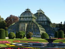 Image result for vienna austria