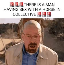 THERE IS A MAN HAVING SEX WITH A HORSE IN COLLECTIVE 