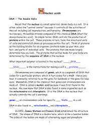 Irrespective of a great design template, regardless, you might. Nucleic Acids Dna Double Helix Worksheet Answers Worksheet List