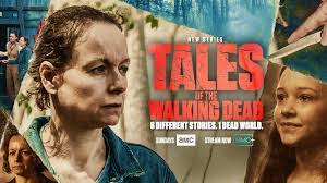 Stephanie Pethtel's Instagram, Twitter & Facebook