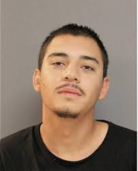 ᐅ Illinois Criminal Records 2009-2025