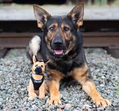 K9 Unit | Seattle Police Foundation