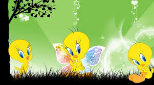 Updated on may 13, 2021. Beautiful Wallpapers Tweety Wallpaper Tweety Bird Wallpaper For Desktop 720x400 Download Hd Wallpaper Wallpapertip