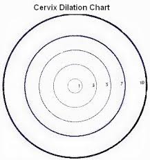 Cervical Dilation Chart Babycenter