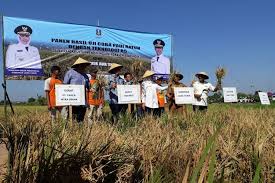 Namun selepas kedatangan islam, kemajuan sains dan teknologi melayu telah berkembang dengan wujudnya teknologi pembajakan dan juga sistem saliran air yang digunakan dalam proses pengairan pertanian seperti penanaman padi dan sebagainya. Jawa Timur Uji Coba Jenis Padi 1 Kali Tanam 5 Kali Panen