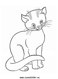 Ausmalbild Katze Zum Ausdrucken