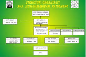 Dalam contoh di atas, dapat dilihat bahwa terdapat pembagian jabatan. Contoh Struktur Organisasi Sekolah Smp Swasta Berbagi Struktur