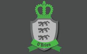 We did not find results for: Tracing Your Irish Ancestry The O Brien Clan