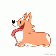 Explore and share the best birthday meme gifs and most popular animated gifs here on giphy. Slothilda Gif Slothilda Sloth Discover Share Gifs Corgi Gif Sloth Gif Corgi Drawing