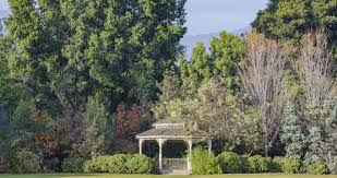 Home to plant collections from all over the world, including many rare and. 15 Best Things To Do In Arcadia California