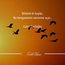 255 Begenme 21 Yorum Instagram Da Edebi Akim Edebi Akim Bilmem Ki Kuslar Bu Hengamenin Neresine Ucar Cahit Zarifo 2020 Alintilar Guzel Soz Alintilar Ask