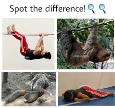 I M Pretty Sure Their Exactly The Same Picture Dolan Twins Dolan Twins Memes Martinez Twins