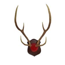 American retro antler decorative wall hanging coat rack closed door wall clothes hanger decoration wall cast iron hook limited offer or check discount here. Antlers Wall Art Archives Art By God Mineral And Nature Novelty Gift Shop