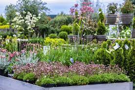 Check spelling or type a new query. Tuincentrum Daniels Linkedin