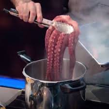 Don T Watch Hungry On Twitter To Achieve Culinary Greatness These Chefs Will Have To Master The Unknown The Final Table Is Now Streamin Culinary Hungry Food