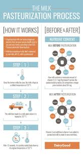 Milk Pasteurization Process Chemical Physical Changes