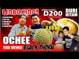 Check spelling or type a new query. Durian Paling Mahal Part 2 Duri Hitam Black Thorn D200 Generasi Ke 3 Duriotourism Unboxingdurian Youtube
