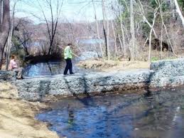 The river is one of the five bodies of water in animal crossing, the others being the ocean, the pond, the lake, and the waterfall. Watershops Pond Fishing Ma Fish Finder