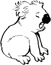 Free Printable Koala Coloring Pages For Kids Bear Coloring Pages Animal Templates Coloring Pages