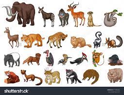 Pin Op Dieren