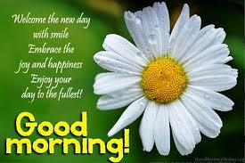 We did not find results for: 10 Good Morning Sister Quotes