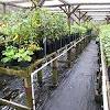 Bit.ly/2ltlynn a brief look at the benefits of the kelty shade house which is a great. 1