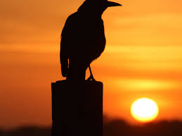 (thank you god for spring!) psalm 104:12, esv beside them the birds of the heavens dwell; 13 Bible Verses About Birds With Explanations And Other Religions Letterpile