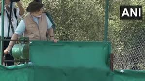 PM Modi releases 8 cheetahs in MP's Kuno National Park - Articles