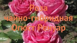 Отзывы покупателей