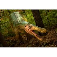 *cumpărătorii biletelor online au o intrare separată care le este destinată exclusiv! Dino Parc Rasnov Bilet De Intrare Un Singur Acces Pentru 10 Copii Cu Varsta 3 Ani Si 1 Adult Valabil 6 Luni Emag Ro