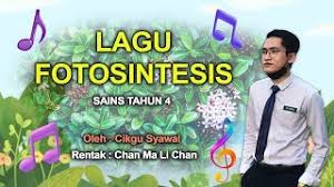 Tumbuhan juga bergerak ke arah rangsangan tetapi gerak balasnya lebih perlahan dan kurang nyata. Proses Hidup Tumbuhan Tahun 5 Oxstree
