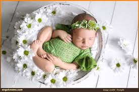 However, the common names of plants often vary from region to region, which is why most plant encyclopedias refer to plants using their scientific names, in other words using binomials or latin names. 82 Flower Names For African Girls With Meaning Angelsname Com
