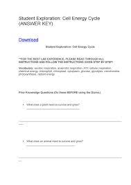 Search only for student exploration: Eg Eg8256118 Profile Pinterest