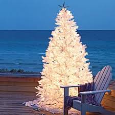 I've been admiring everyone's elegantly appointed christmas trees, beautifully decorated mantles, and festive stairway garlands~ meanwhile, i'm decorating my potting shed and raiding my husband's tackle box for our dock christmas tree :) it's a good thing he doesn't have a fishing trip planned anytime soon :) my husband's. 18 Christmas Boat Docks Ideas Christmas Boat Dock Coastal Christmas