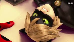 Akas Ladybug Miraculous Ladybug Anime Miraculous Wallpaper Miraculous Ladybug Comic A collection of the top 47 chat noir wallpapers and backgrounds available for download for free. pinterest