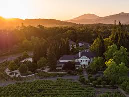 Duckhorn vineyards