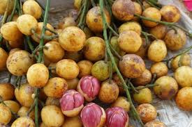 15 gambar lukisan buah buahan 3d jual lukisan buah buahan unik hiasan dinding moderen kab bandung akuin gallery tokopedia download men di 2020 lukisan buah gambar. 10 Buah Asli Indonesia Yang Sulit Ditemukan Di Negara Lain