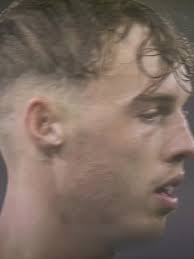 Chippy Chips in Thick of It: A Palmer Story