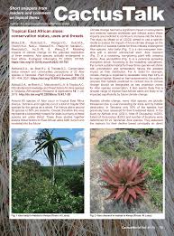 Image result for Aloe bicomitum