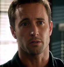 The Steve McGarrett Story