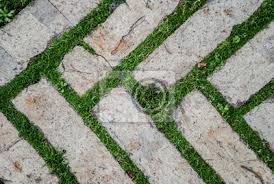 Weitere ideen zu kopfsteinpflaster, pflaster, garten pflaster. Alte Kopfsteinpflaster Hintergrund Mit Gras Ziegel Mit Gras Leinwandbilder Bilder Hinterhof Hof Gehweg Myloview De