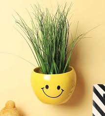 Create a beautiful indoor and outdoor living space with our vertical garden planters. Buy Metal Wall Mounted Smiley Smile Flower Pot By Rishan Lifestyle Online Wall Planters Pots Planters Home Decor Pepperfry Product