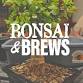 Bonsai %26 Brews at 3 Daughters Brewing | St. Pete event image