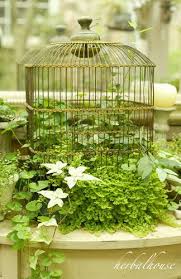 Pin On Grow Your Own
