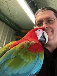 Lara Crow's Instagram, Twitter & Facebook