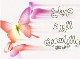 صباح الخير والعافية وقد يسعدنا كلمة وهمسة ولربما صباح الخير وشعور بالاهتمام فالروح ترنو لمن يعطيها بعض الحنان ولو بالكلام ليس الكبي tableware napkins